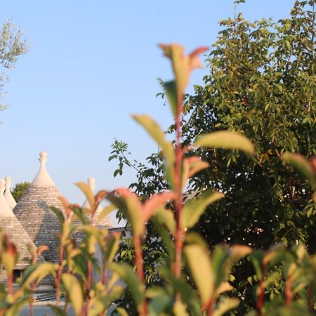 Pietra D'Angolo 洛科罗通多 外观 照片